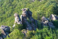 bei Ruine Aggstein